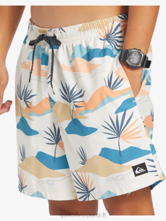 Hommes Quiksilver mélange quotidien 17 volées D6PT678 bouleau