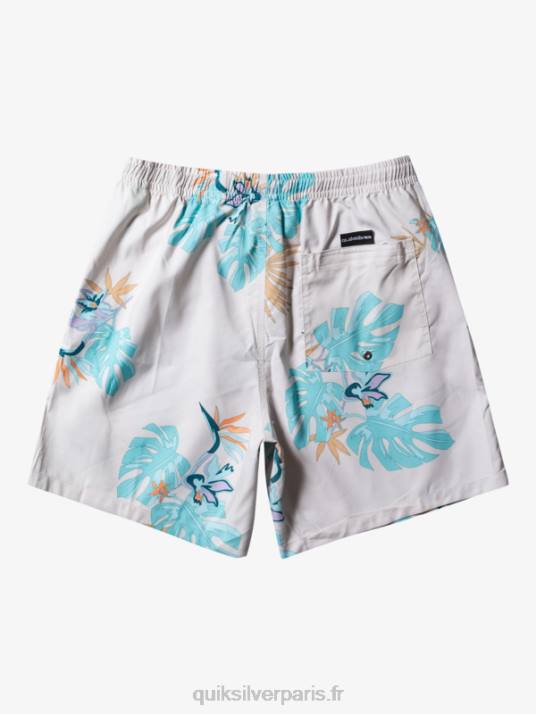 Hommes Quiksilver mélange quotidien 17 volées D6PT679 blanc