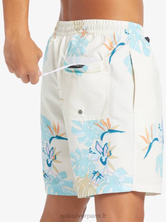 Hommes Quiksilver mélange quotidien 17 volées D6PT679 blanc