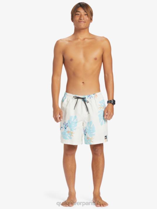 Hommes Quiksilver mélange quotidien 17 volées D6PT679 blanc