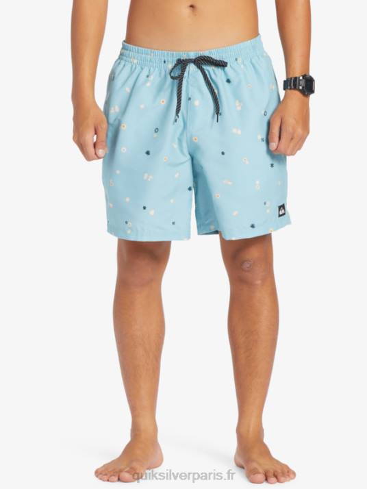 Hommes Quiksilver mélange quotidien 17 volées D6PT680 bleu céleste