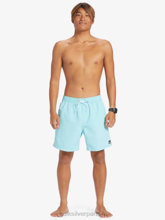 Hommes Quiksilver plage s\'il vous plaît 17 volées D6PT279 ange bleu