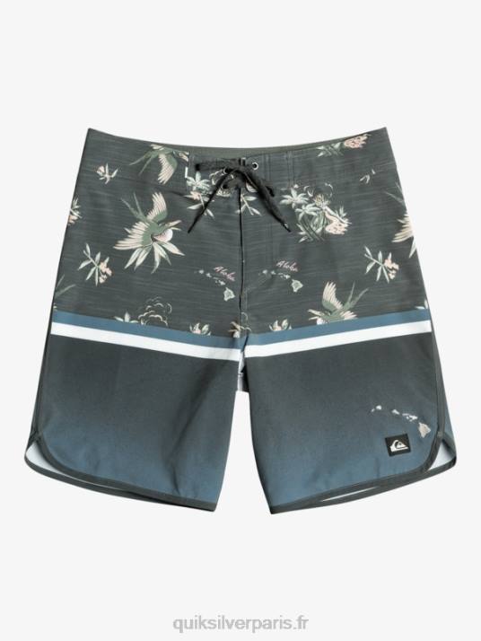 Hommes Quiksilver surfsilk division festonné 19 boardshorts D6PT1397 mer de Béring