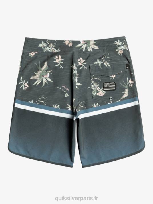 Hommes Quiksilver surfsilk division festonné 19 boardshorts D6PT1397 mer de Béring