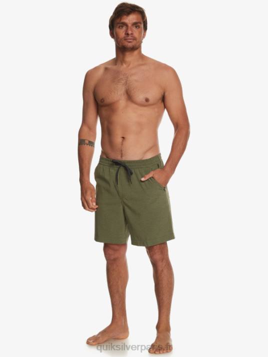 Hommes Quiksilver taxer heather 18 short de bain amphibie D6PT303 trèfle à quatre feuilles