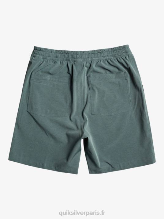 Hommes Quiksilver taxer heather 18 short de bain amphibie D6PT305 ardoise foncée