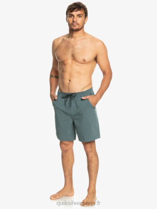 Hommes Quiksilver taxer heather 18 short de bain amphibie D6PT305 ardoise foncée