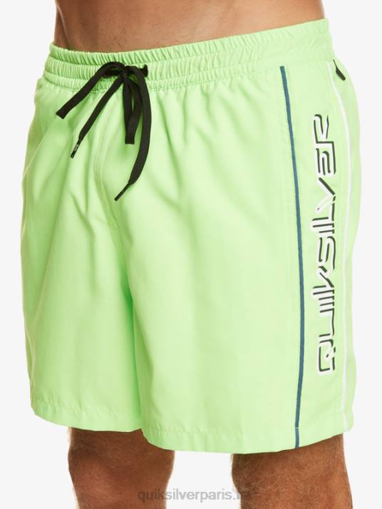 Hommes Quiksilver tous les jours vert 16 volées D6PT696 gecko vert