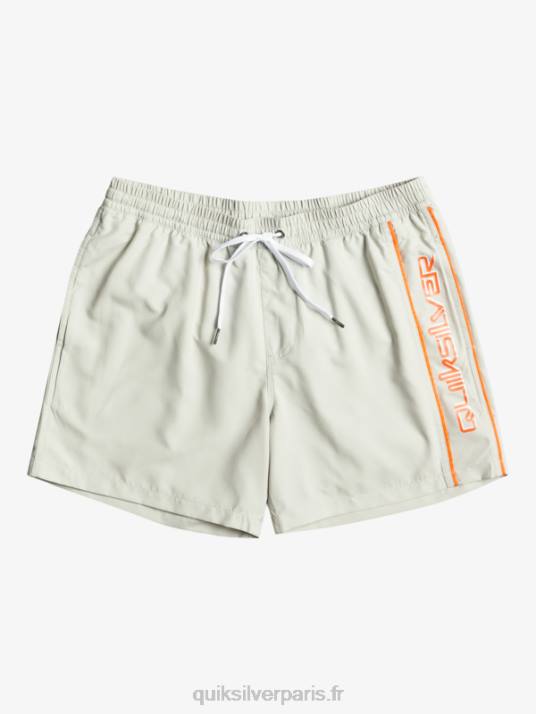 Hommes Quiksilver tous les jours vert 16 volées D6PT700 gris violet