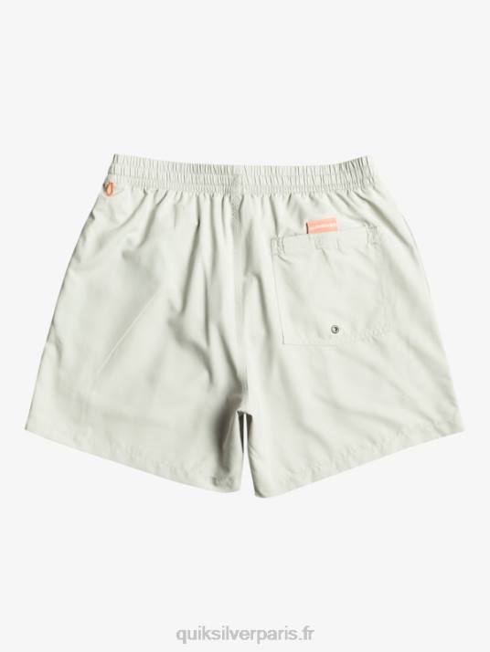Hommes Quiksilver tous les jours vert 16 volées D6PT700 gris violet