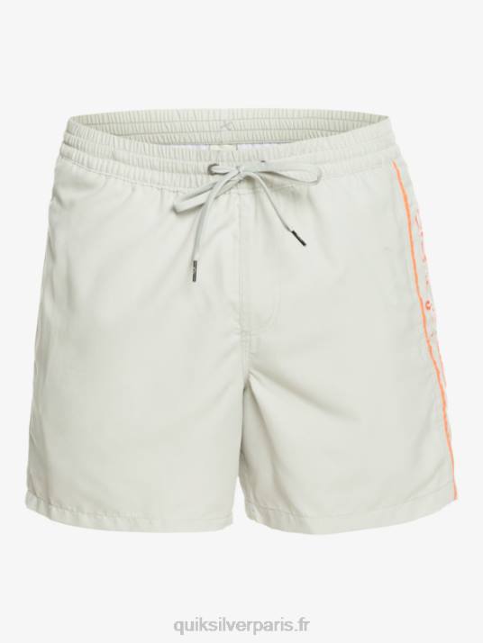 Hommes Quiksilver tous les jours vert 16 volées D6PT700 gris violet