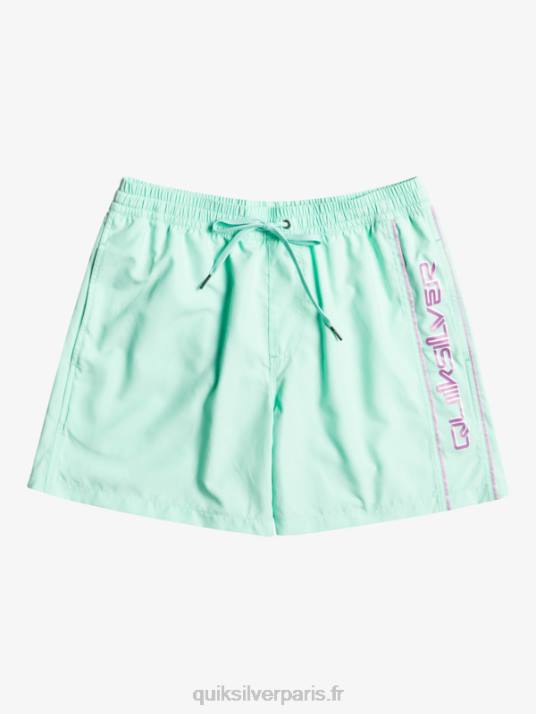 Hommes Quiksilver tous les jours vert 16 volées D6PT702 verre de plage
