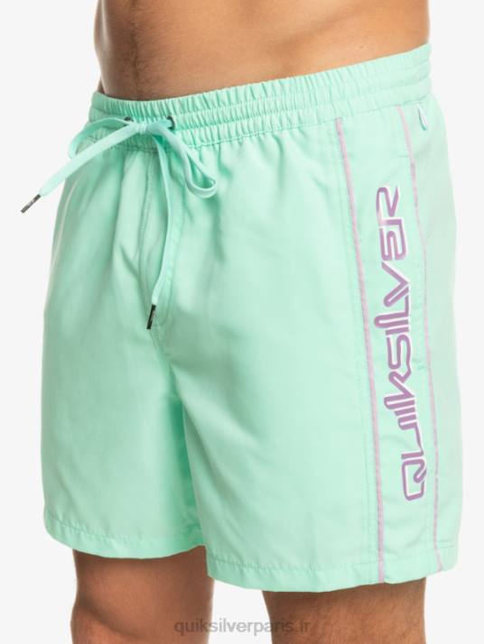 Hommes Quiksilver tous les jours vert 16 volées D6PT702 verre de plage