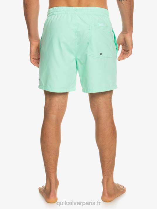 Hommes Quiksilver tous les jours vert 16 volées D6PT702 verre de plage