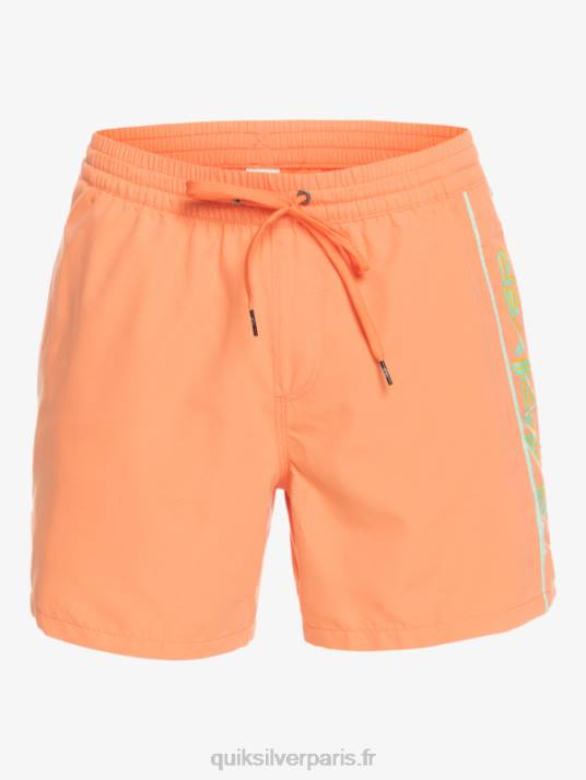 Hommes Quiksilver tous les jours vert 16 volées D6PT703 saumon frais