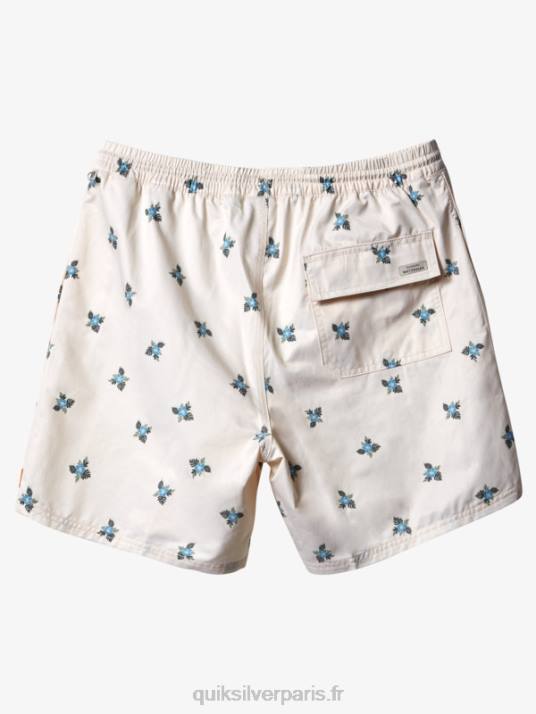 Hommes Quiksilver waterman petites pédales 17 volées D6PT397 petites pédales blanc antique v