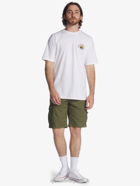 Hommes Quiksilver crucial battle 21 short cargo D6PT1523 trèfle à quatre feuilles