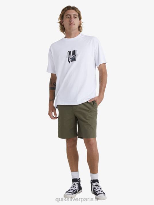 Hommes Quiksilver waterman après le short de surf D6PT1579 olive poussiéreuse
