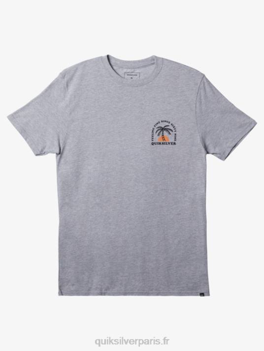Hommes Quiksilver le t-shirt ondulation D6PT185 bruyère athlétique