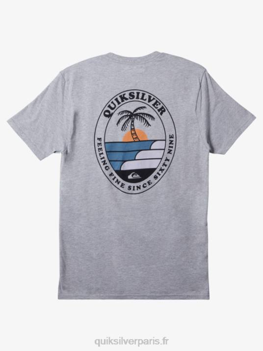 Hommes Quiksilver le t-shirt ondulation D6PT185 bruyère athlétique
