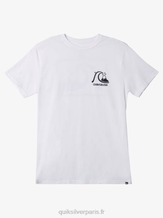 Hommes Quiksilver le tee-shirt original D6PT1067 blanc