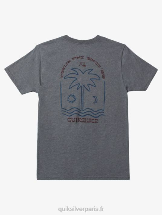 Hommes Quiksilver nouveau t-shirt take mod D6PT1072 gris moyen chiné