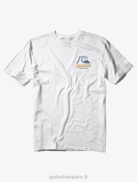 Hommes Quiksilver t-shirt arts dans les palmiers D6PT1100 blanc antique