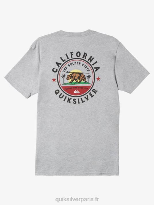 Hommes Quiksilver t-shirt brigade locale californienne D6PT723 bruyère athlétique