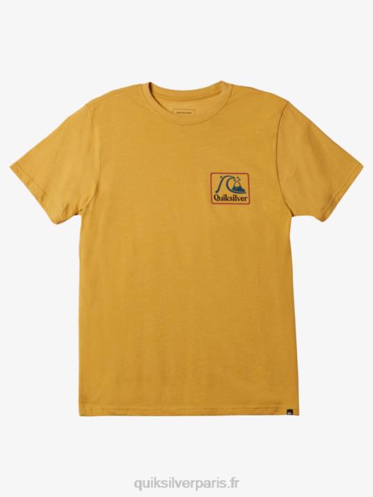 Hommes Quiksilver t-shirt carré biz mod D6PT1190 bruyère or brillant