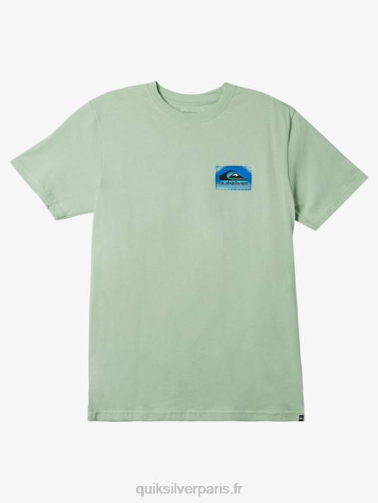 Hommes Quiksilver t-shirt color flow D6PT1203 épinette
