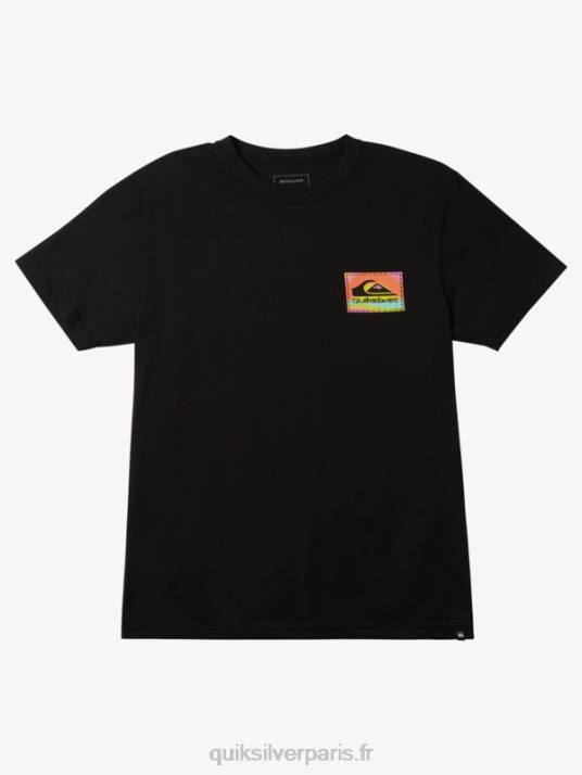 Hommes Quiksilver t-shirt color flow D6PT1204 noir