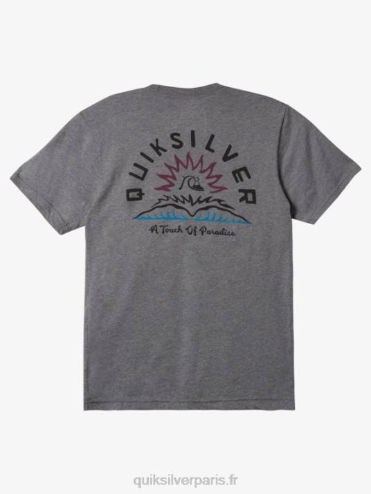 Hommes Quiksilver t-shirt contes d\'eau mod D6PT969 gris moyen chiné