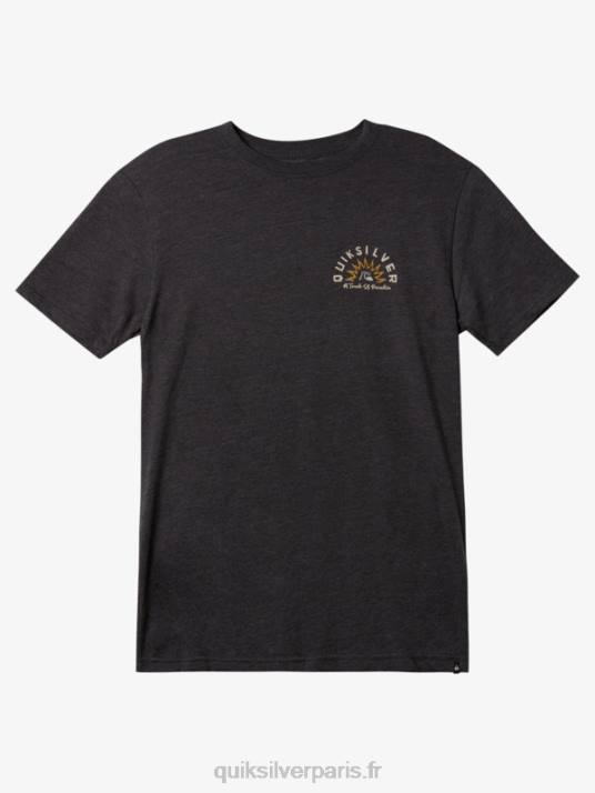 Hommes Quiksilver t-shirt contes d'eau mod D6PT970 bruyère anthracite