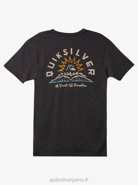 Hommes Quiksilver t-shirt contes d\'eau mod D6PT970 bruyère anthracite