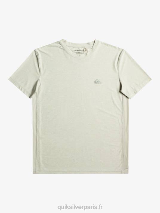 Hommes Quiksilver t-shirt de coureur de côte D6PT1329 gris violet chiné