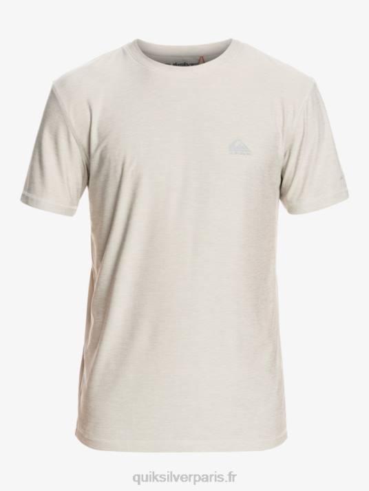 Hommes Quiksilver t-shirt de coureur de côte D6PT1329 gris violet chiné