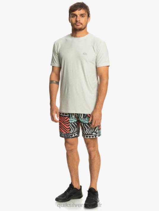 Hommes Quiksilver t-shirt de coureur de côte D6PT1329 gris violet chiné