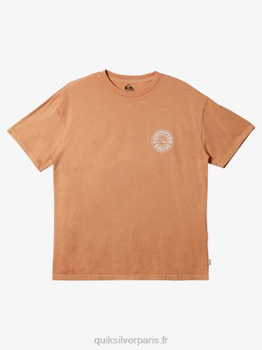 Hommes Quiksilver t-shirt des jours étrangers D6PT753 bronzer au cuivre