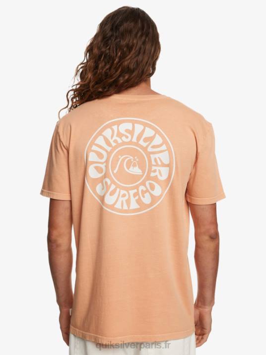 Hommes Quiksilver t-shirt des jours étrangers D6PT753 bronzer au cuivre