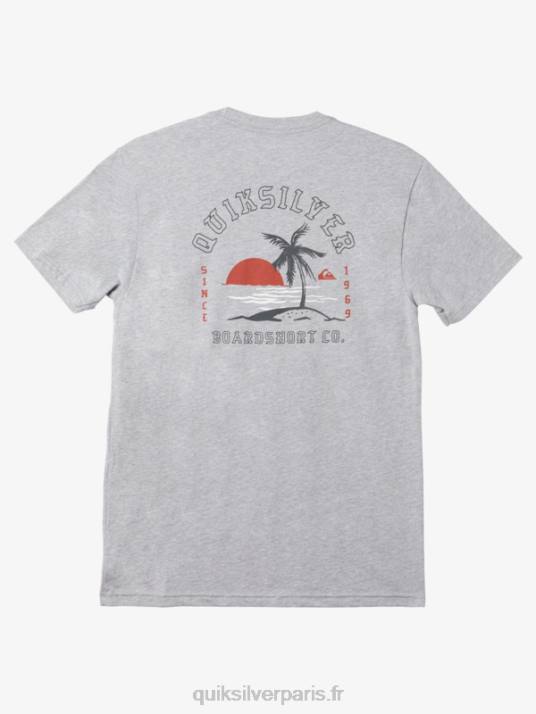 Hommes Quiksilver t-shirt enfin seul D6PT1161 bruyère athlétique