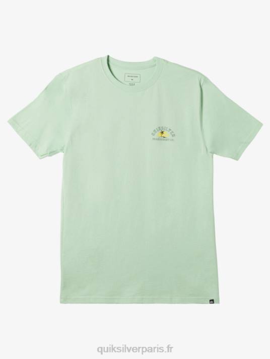 Hommes Quiksilver t-shirt enfin seul D6PT1162 épinette