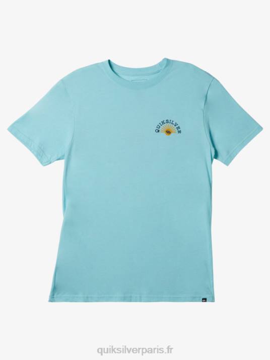 Hommes Quiksilver t-shirt flow mod D6PT271 bleu ange chiné