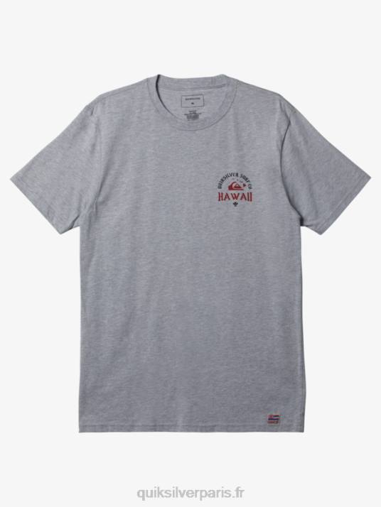Hommes Quiksilver t-shirt hawaii coq royal D6PT673 bruyère athlétique