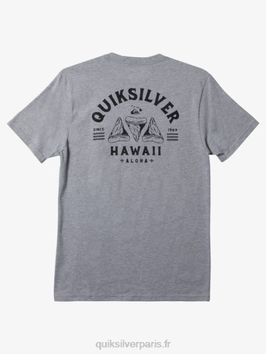 Hommes Quiksilver t-shirt hawaii dent de rasoir D6PT163 bruyère athlétique