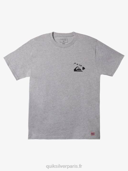Hommes Quiksilver t-shirt hawaii double hameçon D6PT1113 bruyère athlétique
