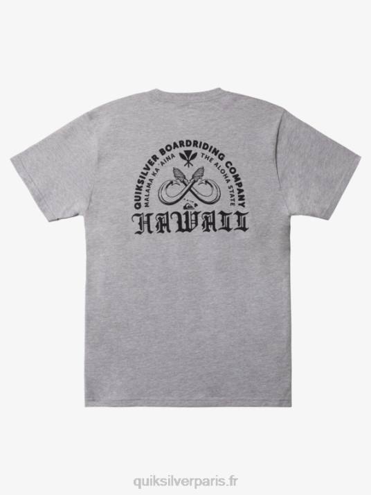 Hommes Quiksilver t-shirt hawaii double hameçon D6PT1113 bruyère athlétique