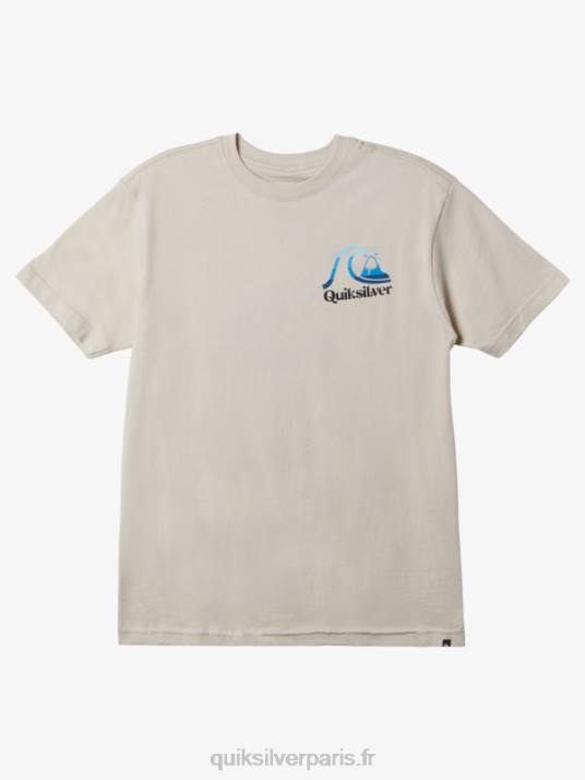 Hommes Quiksilver t-shirt heure de l'île D6PT1626 bouleau