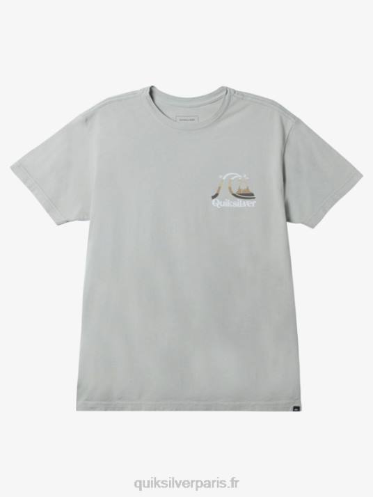 Hommes Quiksilver t-shirt heure de l\'île D6PT1628 sauge du désert