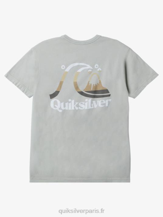 Hommes Quiksilver t-shirt heure de l\'île D6PT1628 sauge du désert