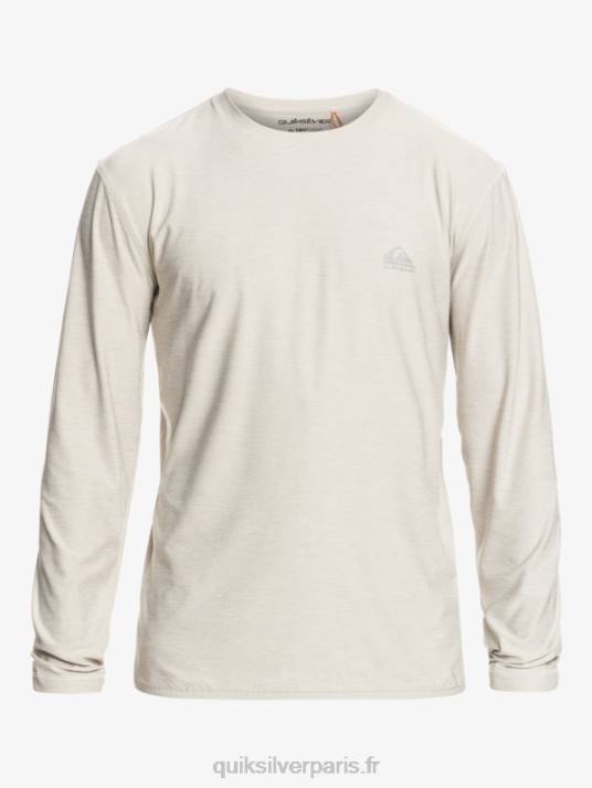 Hommes Quiksilver t-shirt à manches longues coast runner D6PT1347 gris violet chiné